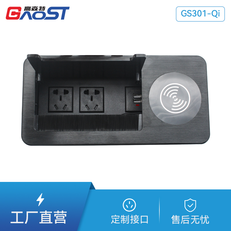 GS301-QI新国标2，双A口，无线